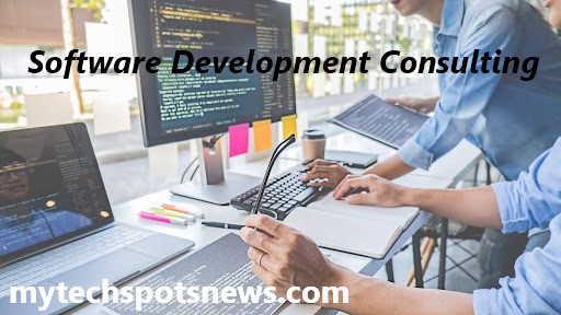 Software Development Consulting: Maximizing Efficiency in Project Management